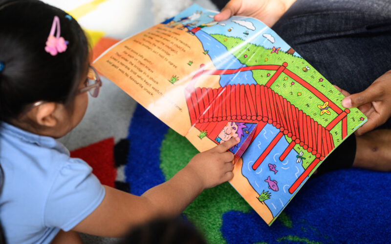 Child reading story book